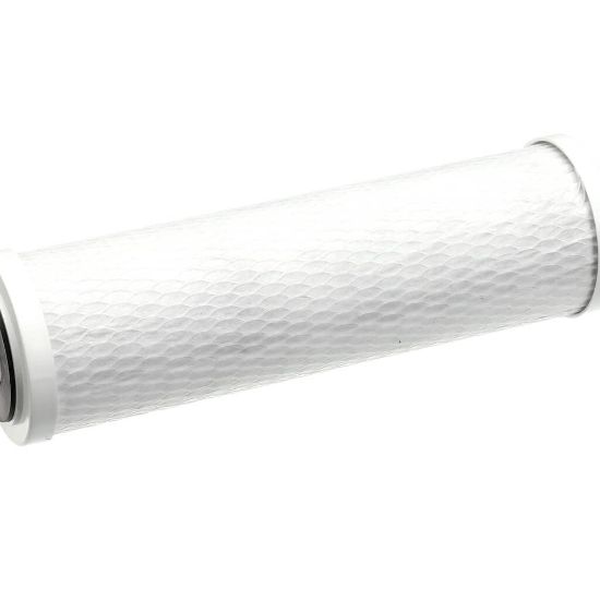 Picture of Everpure Cg53-10 Part# EV910853