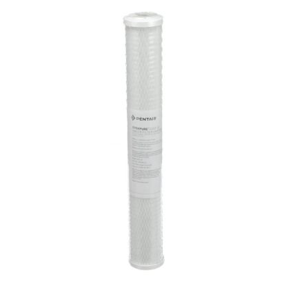 Picture of Everpure Cg53-20 Part# EV910863