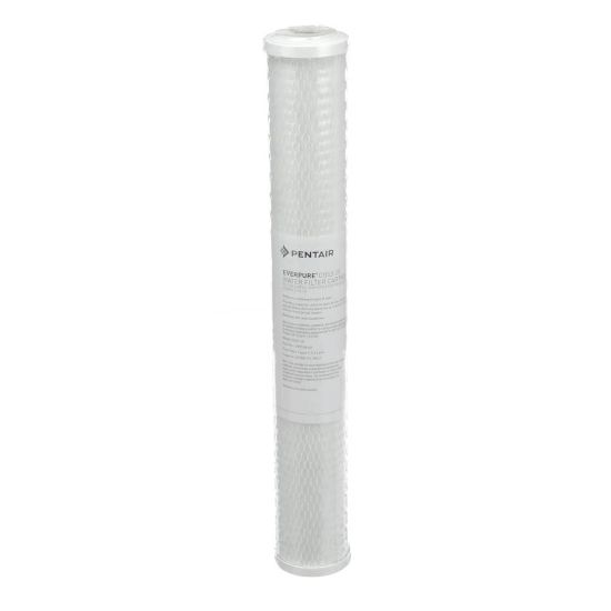 Picture of Everpure Cg53-20 Part# EV910863