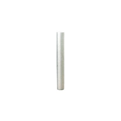 Picture of Everpure Ec210 Cartridge Part# EV953426