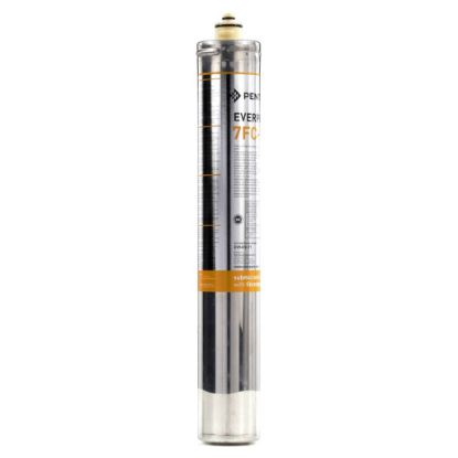 Picture of Everpure 7Fc-s Cart 1Pk Part# EV969271