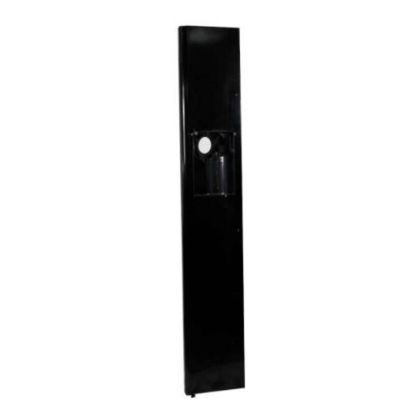 Picture of Electrolux Dsp Door Part# 807460018