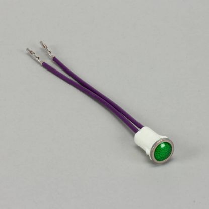 Picture of Frymaster Harness Assy Flush 24V Green Part# 1064729