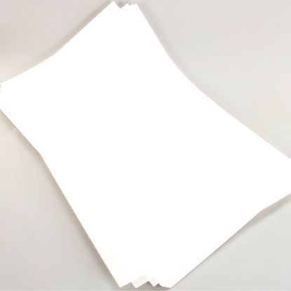 Picture of Frymaster Filter 22 X 34 Fry Part# 8030289