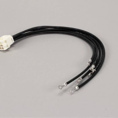 Picture of Frymaster Wire Assembly Hv Right Cont Part# 8067185SP