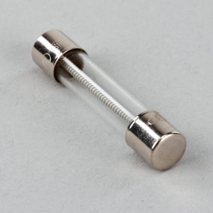 Picture of Frymaster Fuse Part# 8071597