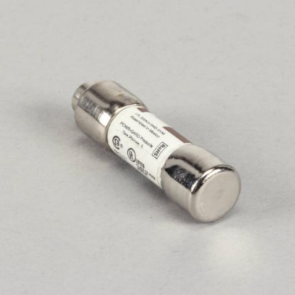 Picture of Frymaster Fuse Part# 8072278