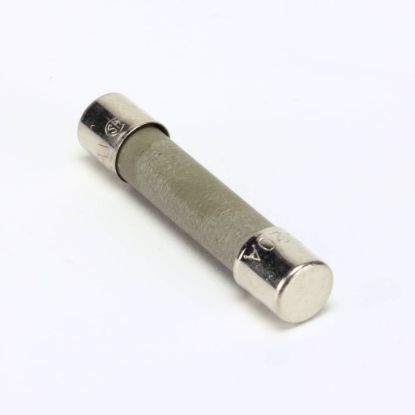 Picture of Frymaster Ceramic Fuse Part# 8072819