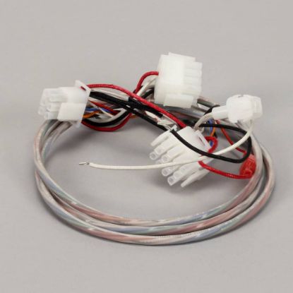 Picture of Frymaster Fpp350/352 Wire Harness Part# 8074014