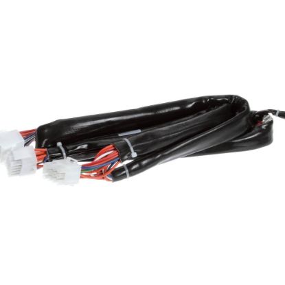Picture of Frymaster Harness Re Dv Controls Part# 8074195