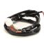 Picture of Frymaster Re Fv Controls Harness Part# 8074194