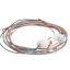Picture of Frymaster D Series Wiring Harness Part# 8074597