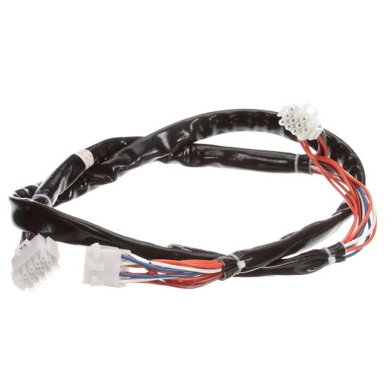 Picture of Frymaster Harness Controls Lov Dv Part# 8074773