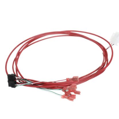 Picture of Frymaster Harness,mib Elect Filter Quick Part# 8075785