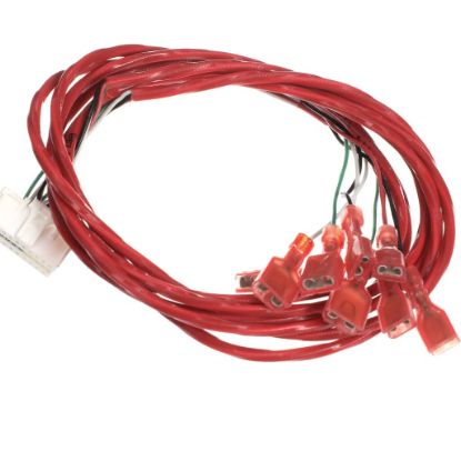 Picture of Frymaster Harness, Dv Vib W/oib Part# 8075807