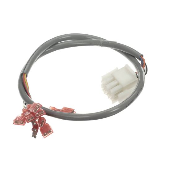 Picture of Frymaster Harness Bulk Oil Contro L Part# 8075317