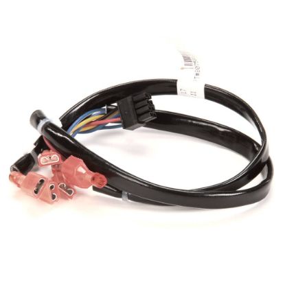 Picture of Frymaster Harness Interface To I. M. Cap Part# 8075813