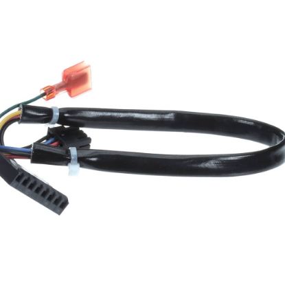 Picture of Frymaster Harness Fenwal Module D V Part# 8075987