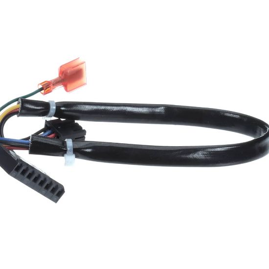 Picture of Frymaster Harness Fenwal Module D V Part# 8075987