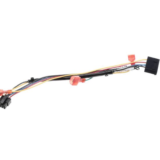 Picture of Frymaster Harness, Dv Fenwal Retrofit Part# 8076553
