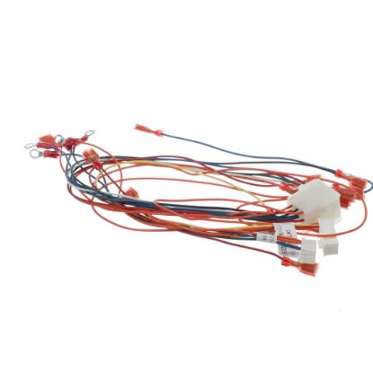 Picture of Frymaster Harnessstp Touch Vat Controls Part# 8076521