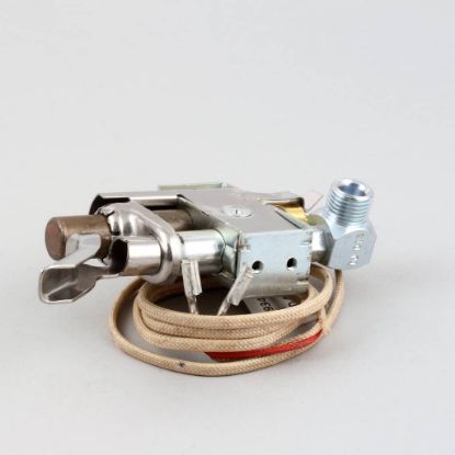 Picture of Frymaster .013 Lp Gas Pilot Assy Part# 8101773