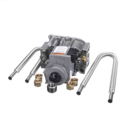 Picture of Frymaster Progas Vlv Cnvrsn Svckit Part# 8261121