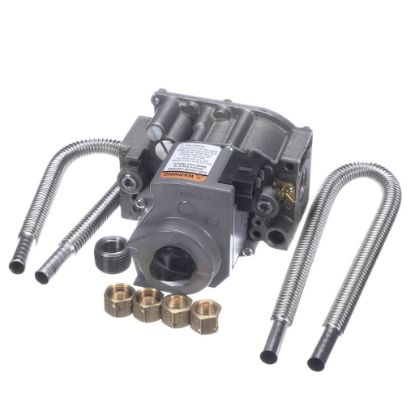 Picture of Frymaster Safety Valve Part# 8261120