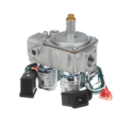 Picture of Garland Dual Gas Solenoid Valve Part# 1754902