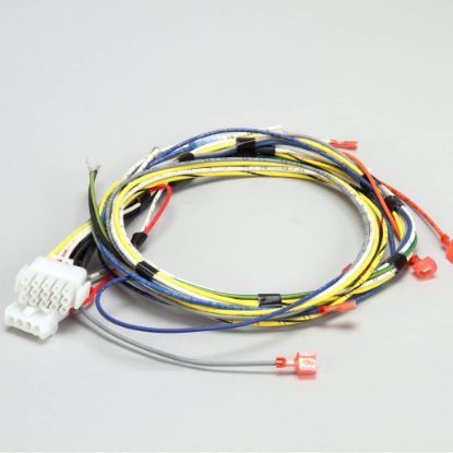 Picture of Garland W/h-115v 60Hz Gas Part# 1949599
