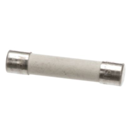 Picture of Garland 25 Amp / 250 Volt Fuse Part# 34150259