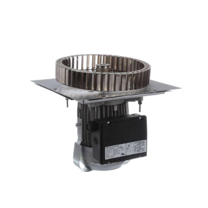 Picture of Garland Motor Assembly - 2 Speed 115V Part# 4602806