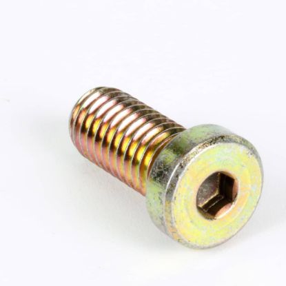 Picture of Globe Screw Part# 1058