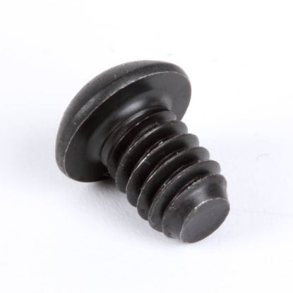Picture of Globe Roller Retaining Screw Part# 1107