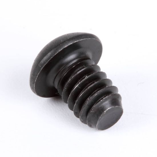 Picture of Globe Roller Retaining Screw Part# 1107