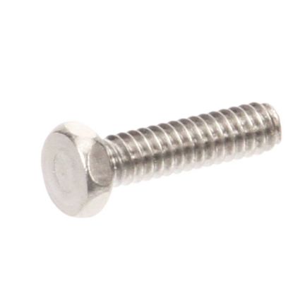Picture of Globe Screw Part# 1307