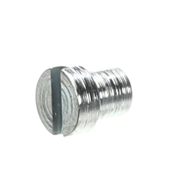 Picture of Globe Gauge Plate Support Screw Part# 810335