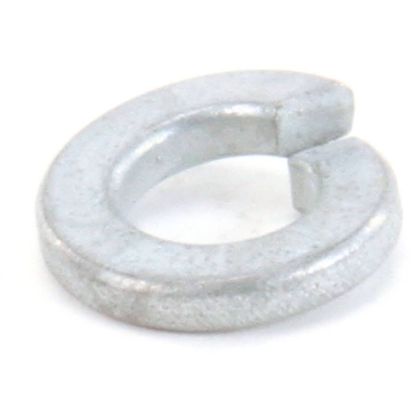 Picture of Globe Lockwasher Part# 870020