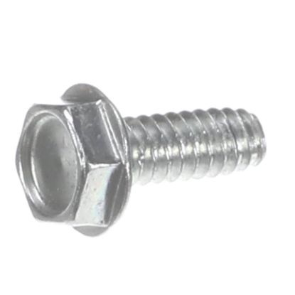 Picture of Globe #10-24 X 1/2" Thread Form Slot Part# 800067