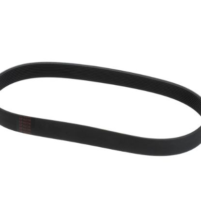 Picture of Globe Belt (5F-4236) Part# L02093