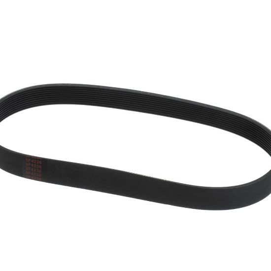Picture of Globe Belt (5F-4236) Part# L02093