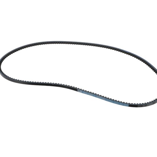Picture of Globe Lower Motor Belt Part# P00957