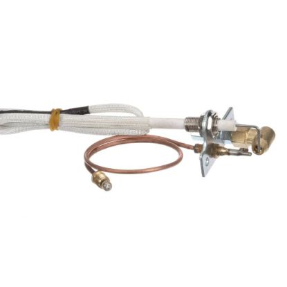 Picture of Globe Pilot Assembly Part# U00677