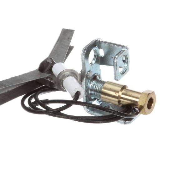 Picture of Globe Ods Flame Protection Ng Part# U01211069001