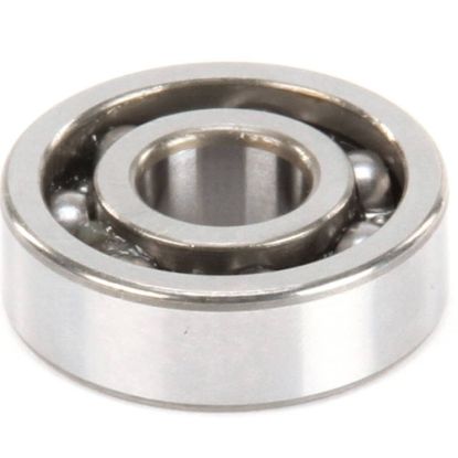 Picture of Globe Bearing Part# X10117