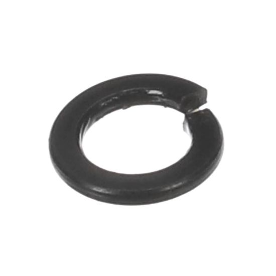 Picture of Globe Washer Part# X30198