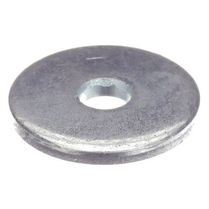 Picture of Globe Washer Part# X25069