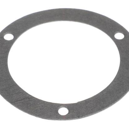 Picture of Globe Lead-in Oil Pad Part# X80B28