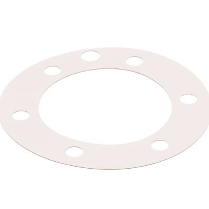 Picture of Globe Fiber Gasket (Xvga/xvsa) Part# XP1011