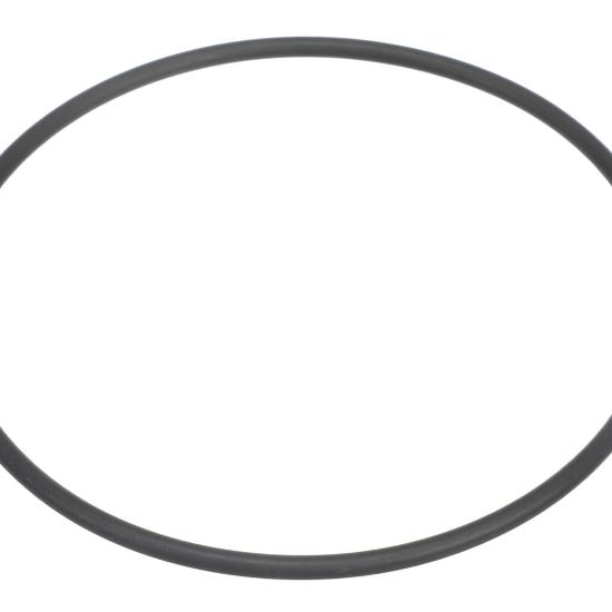 Picture of Grindmaster Cecilware O-ring 10119X353 Nbr70 (4400) Part# 04.HU0009.001